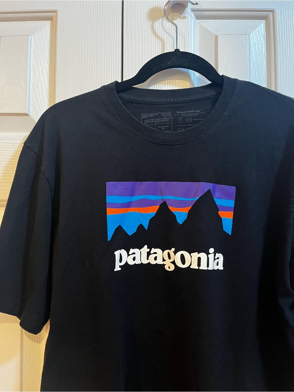 Patagonia Black Short-Sleeve Tee with Multicolor Mountain Logo
